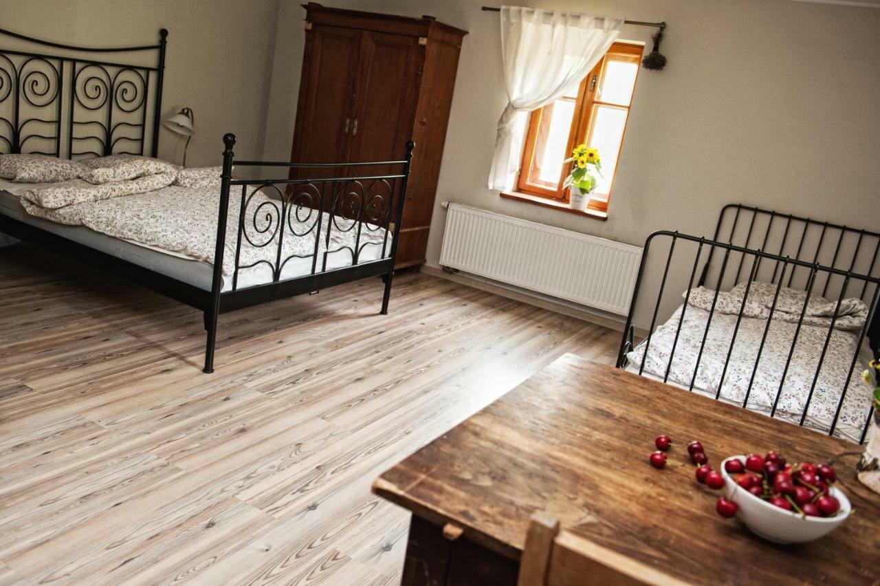 Vila Potoczek 19 Międzylesie Exteriér fotografie