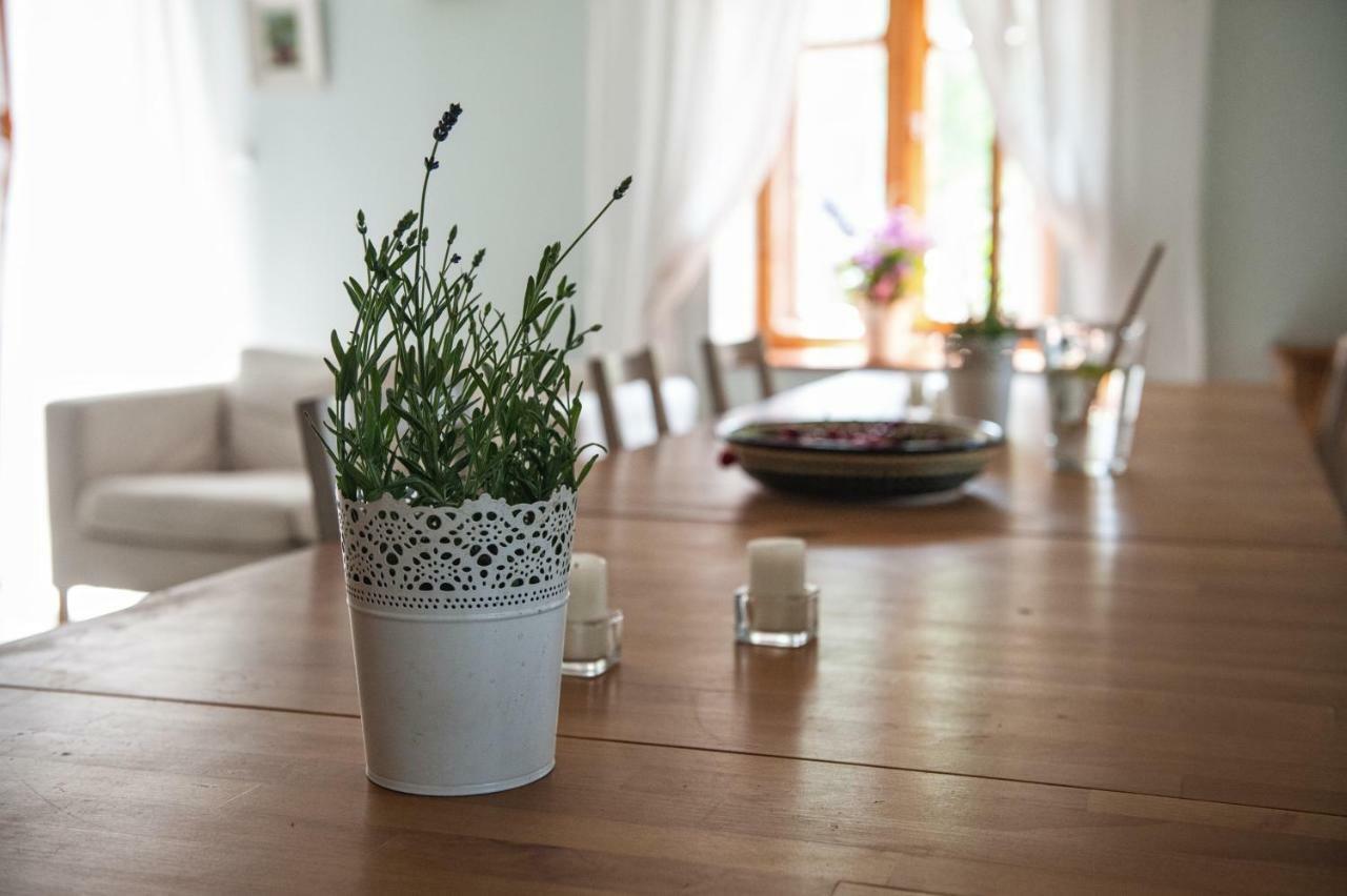Vila Potoczek 19 Międzylesie Exteriér fotografie