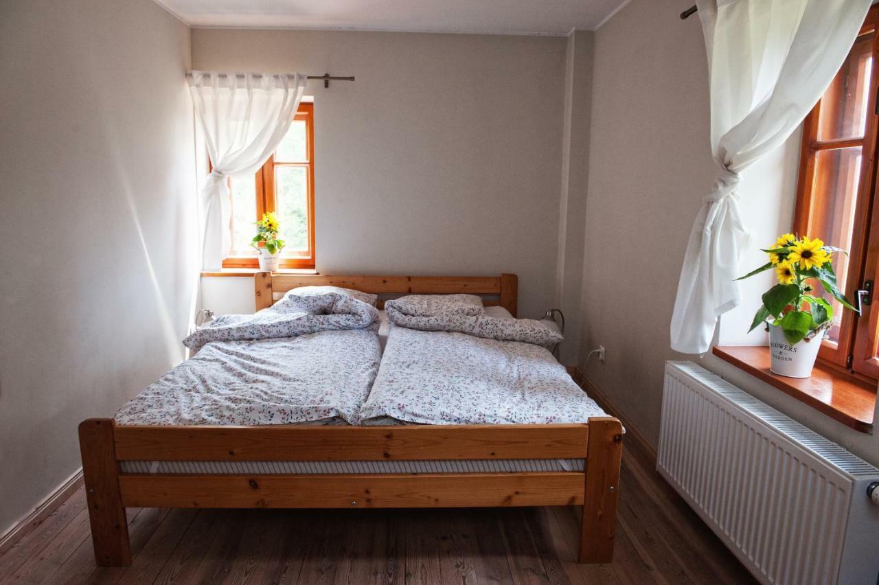 Vila Potoczek 19 Międzylesie Exteriér fotografie