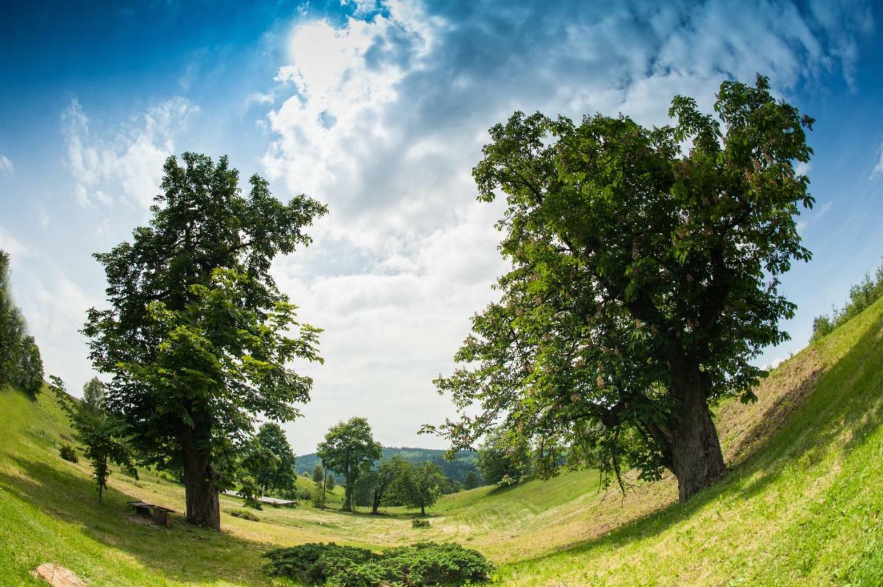 Vila Potoczek 19 Międzylesie Exteriér fotografie