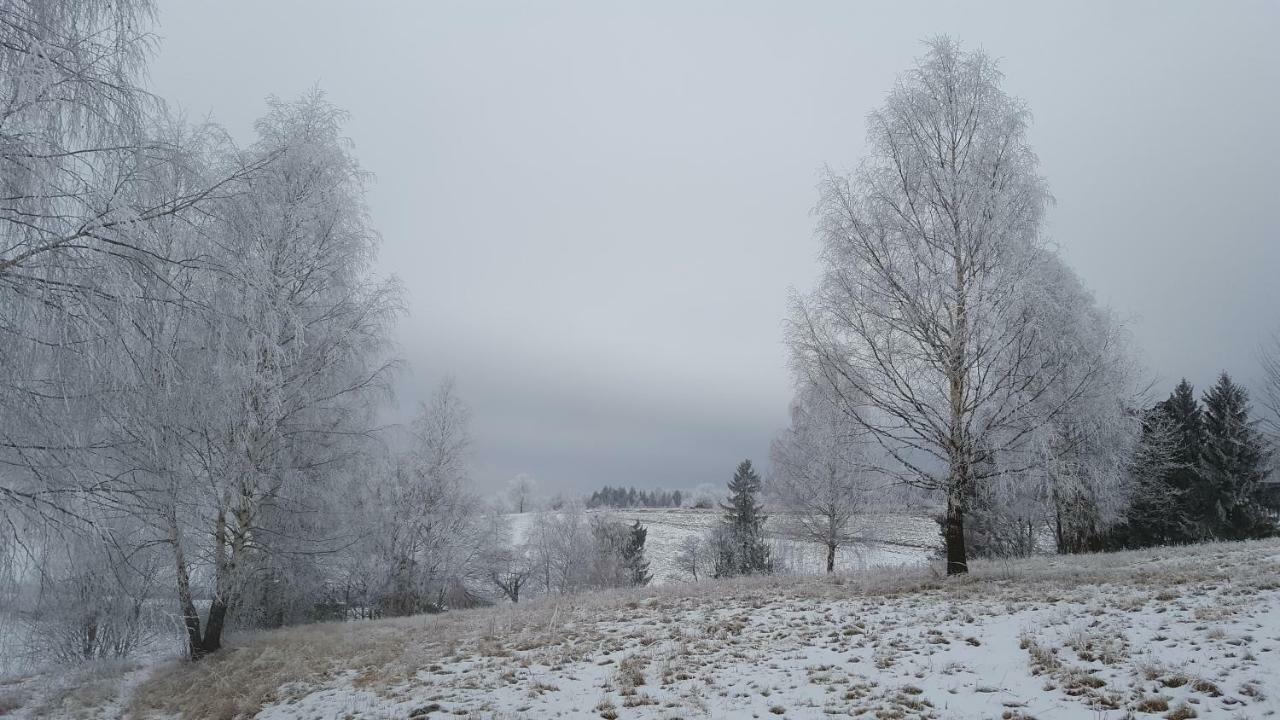 Vila Potoczek 19 Międzylesie Exteriér fotografie