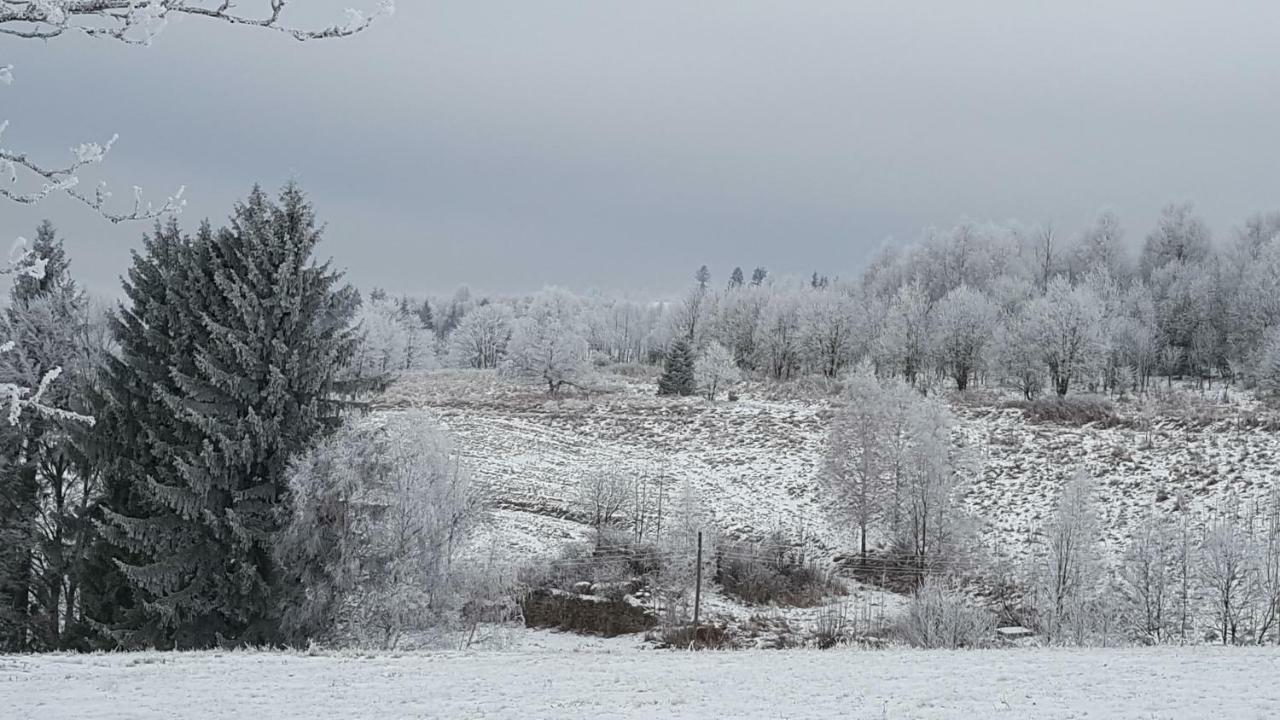 Vila Potoczek 19 Międzylesie Exteriér fotografie