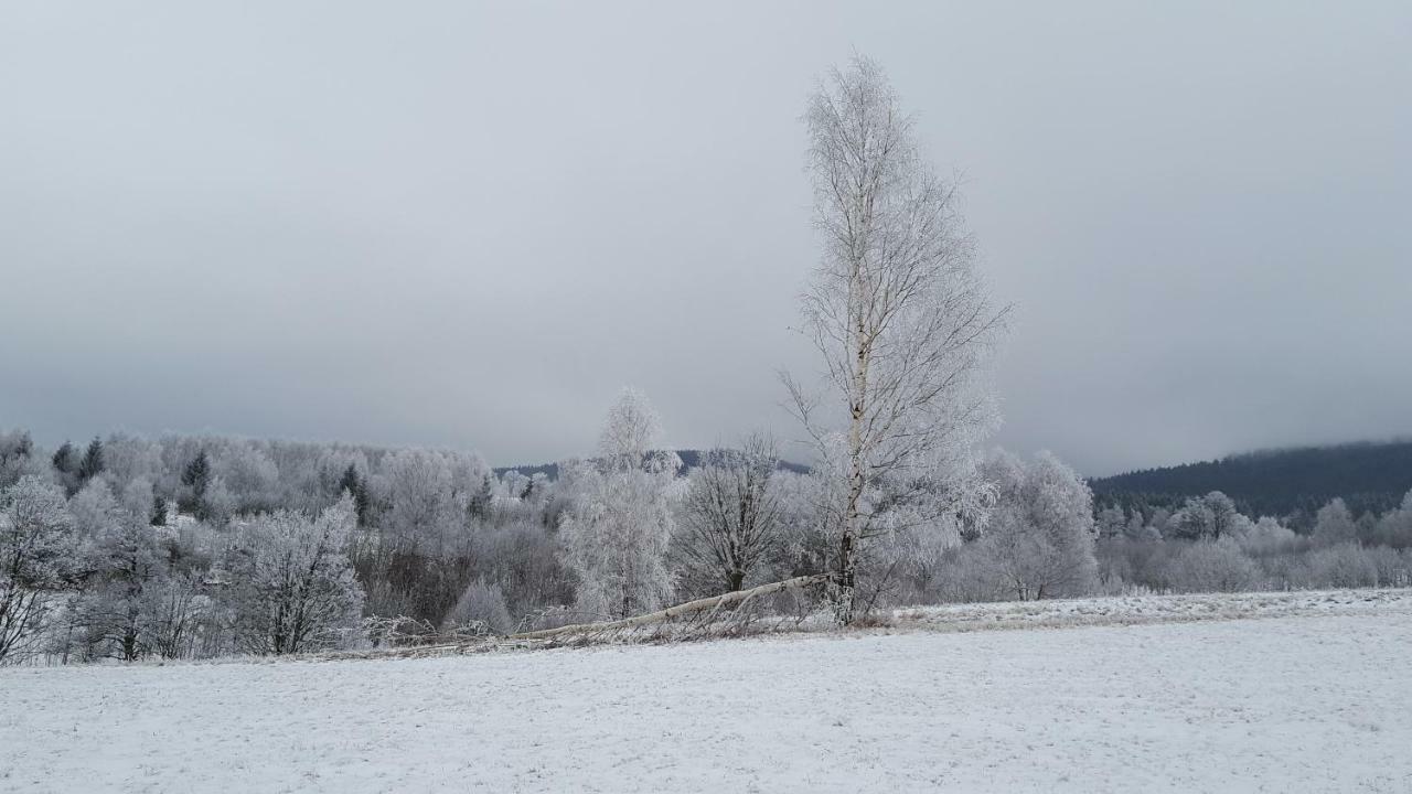 Vila Potoczek 19 Międzylesie Exteriér fotografie